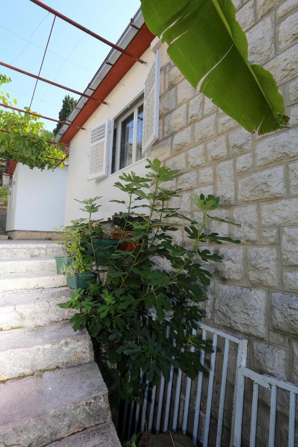 Smjestaj Djurdjevic Διαμέρισμα Χέρτσεγκ Νόβι Εξωτερικό φωτογραφία